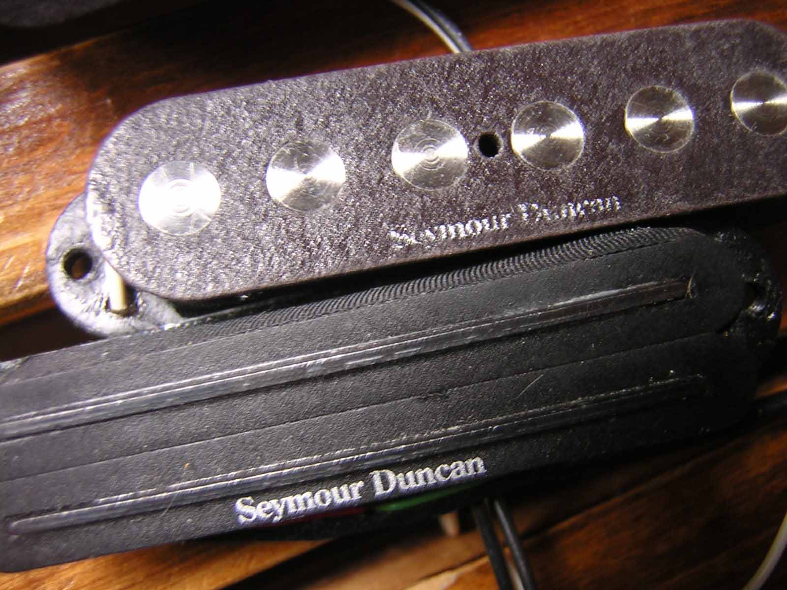 DSCN3691.jpg