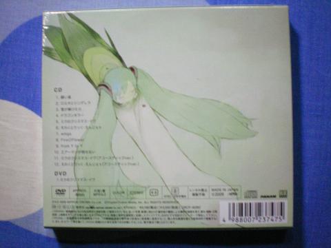 100_0600.JPG