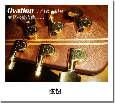 旋钮.jpg