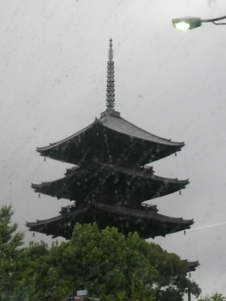 P1030246_缩小大小.JPG