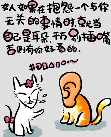 a2a58a0b3022e52e94ca6b54.jpg