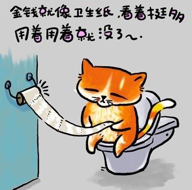 ccbfa439553d8ff3d4622556.jpg