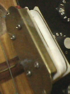 IMG0529A.jpg