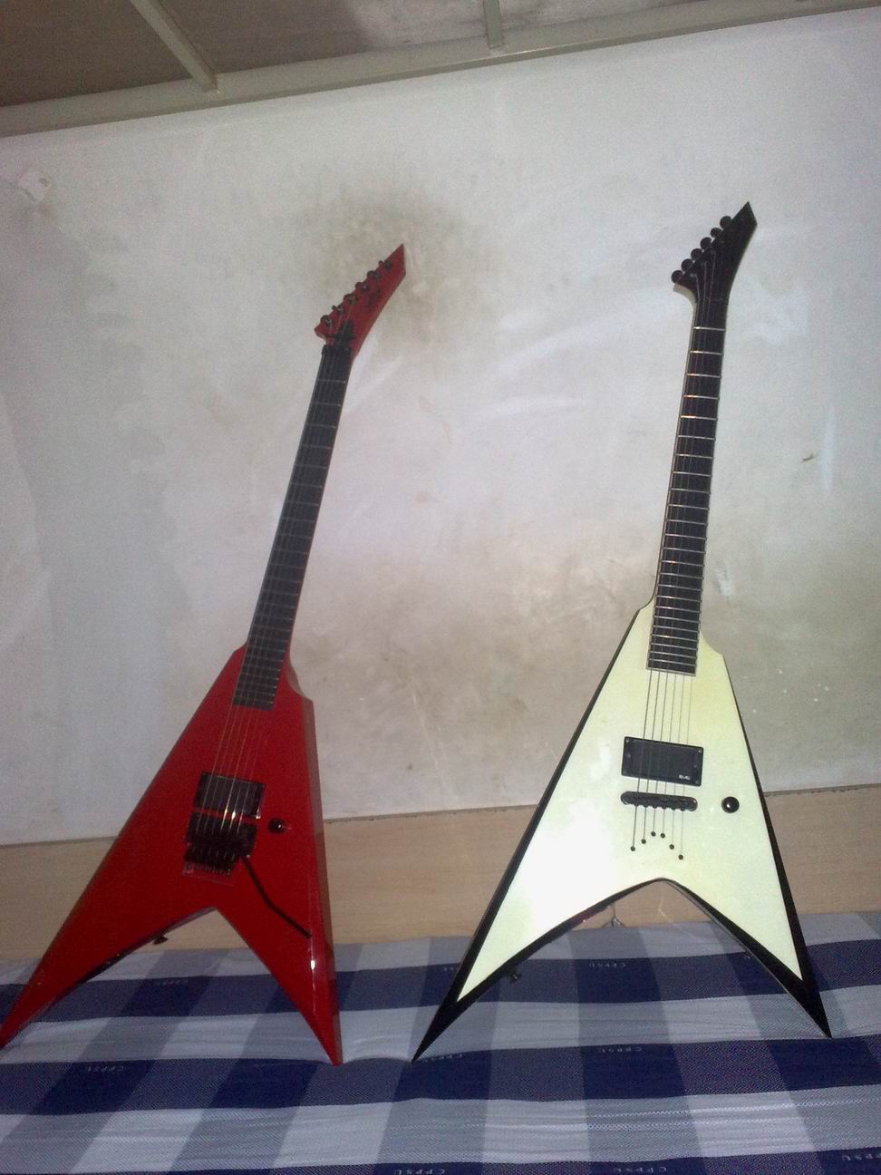 20100115878.jpg