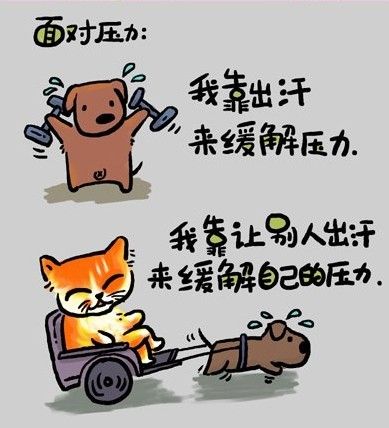 4f3e33dc61a4bce88c102949.jpg