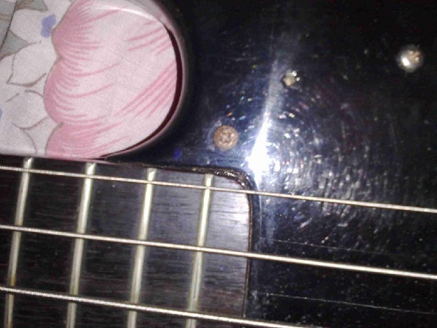 20100115018.jpg