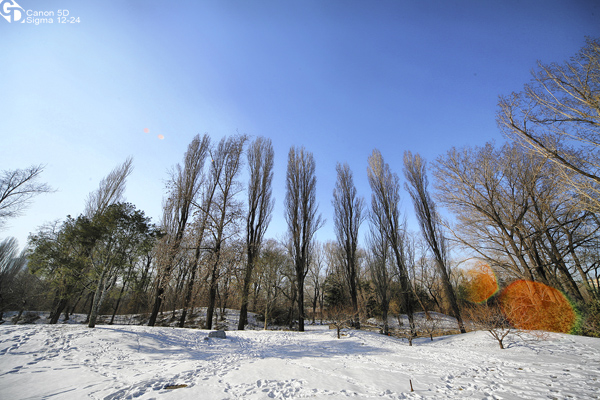 _MG_8095_2_fhdr2.jpg