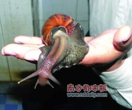 这只有参照，看起来，我靠.jpg