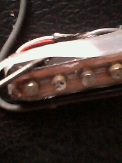 IMG0540A.jpg