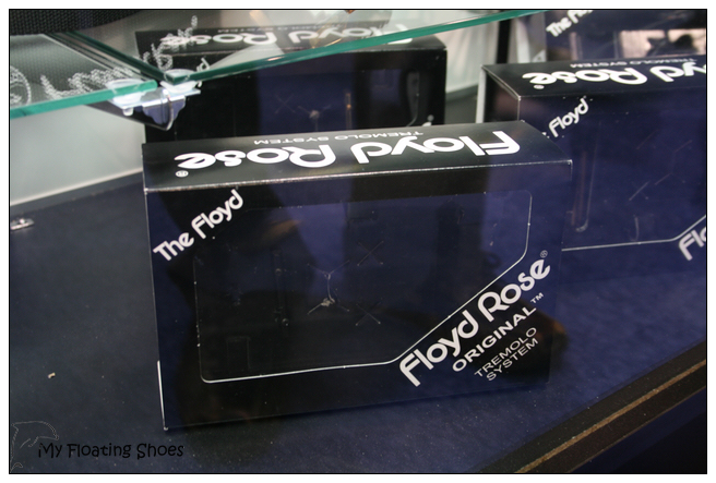 Floyd Rose 2.jpg