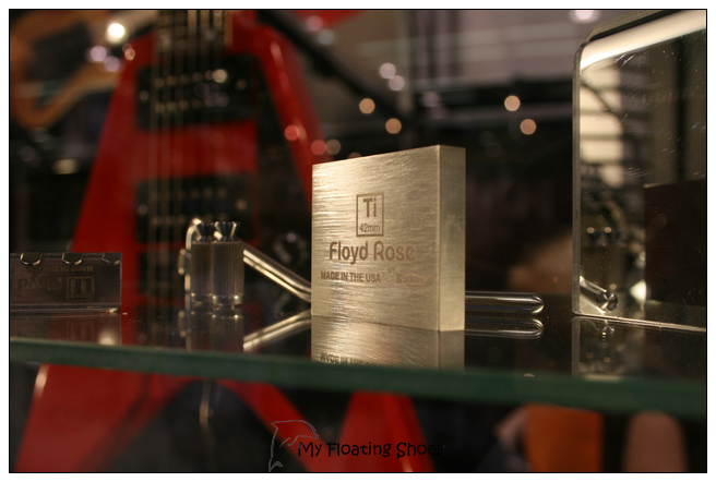 Floyd Rose 4.jpg