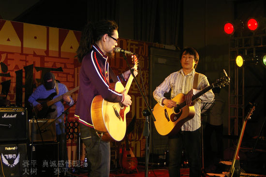 大树和赛平