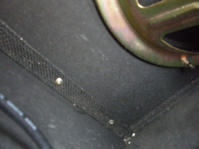 P2040032.JPG