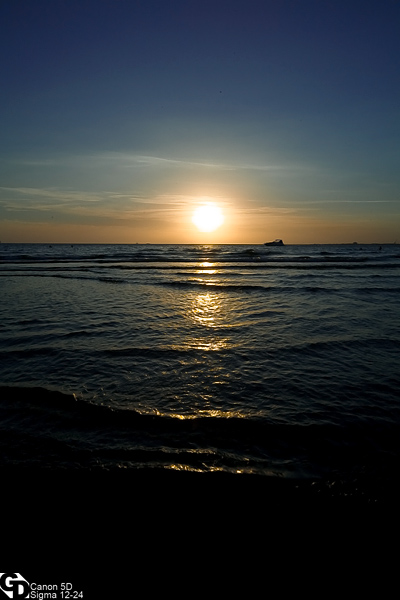IMG_8942mini.jpg