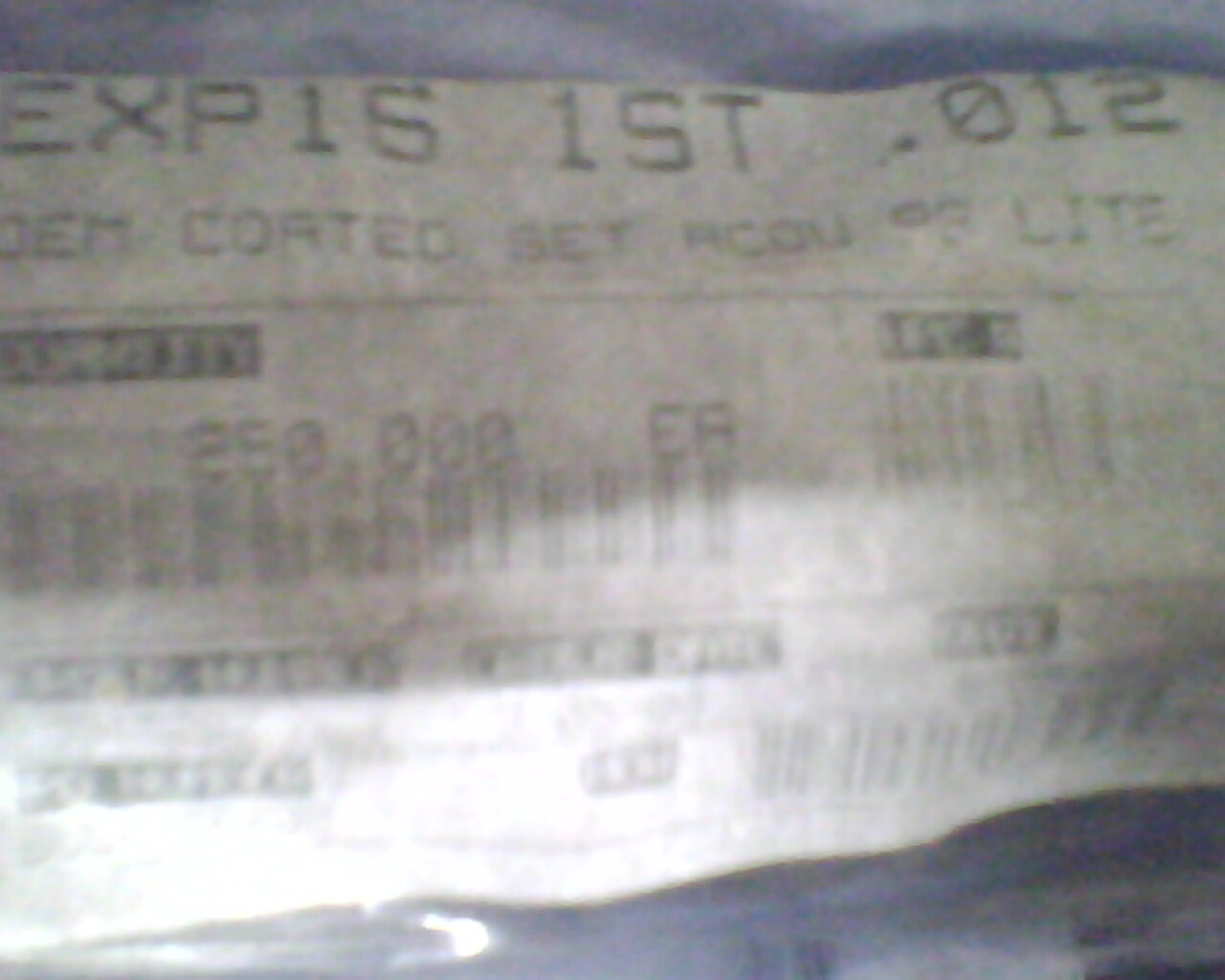 IMG1250A.jpg
