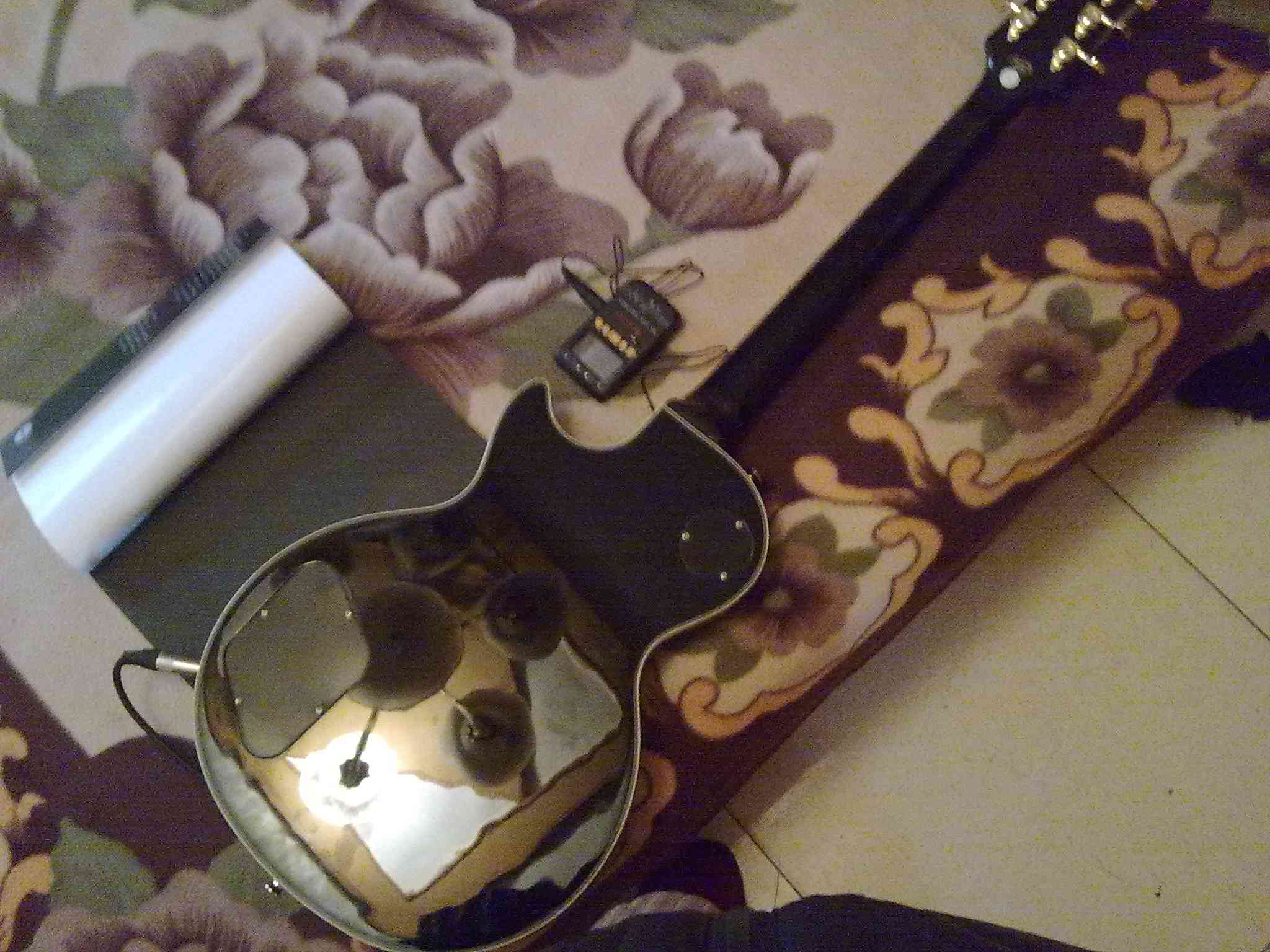 20100206017.jpg
