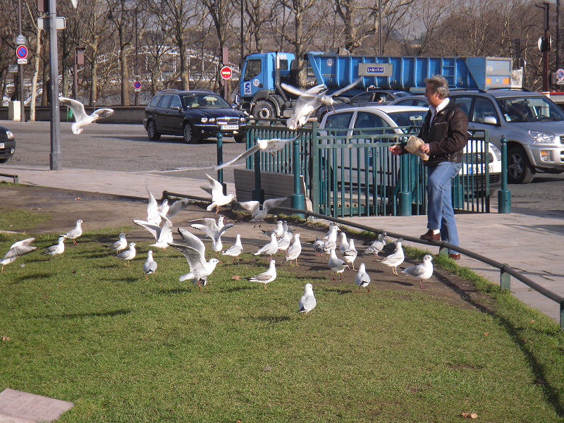 SDC11698.jpg