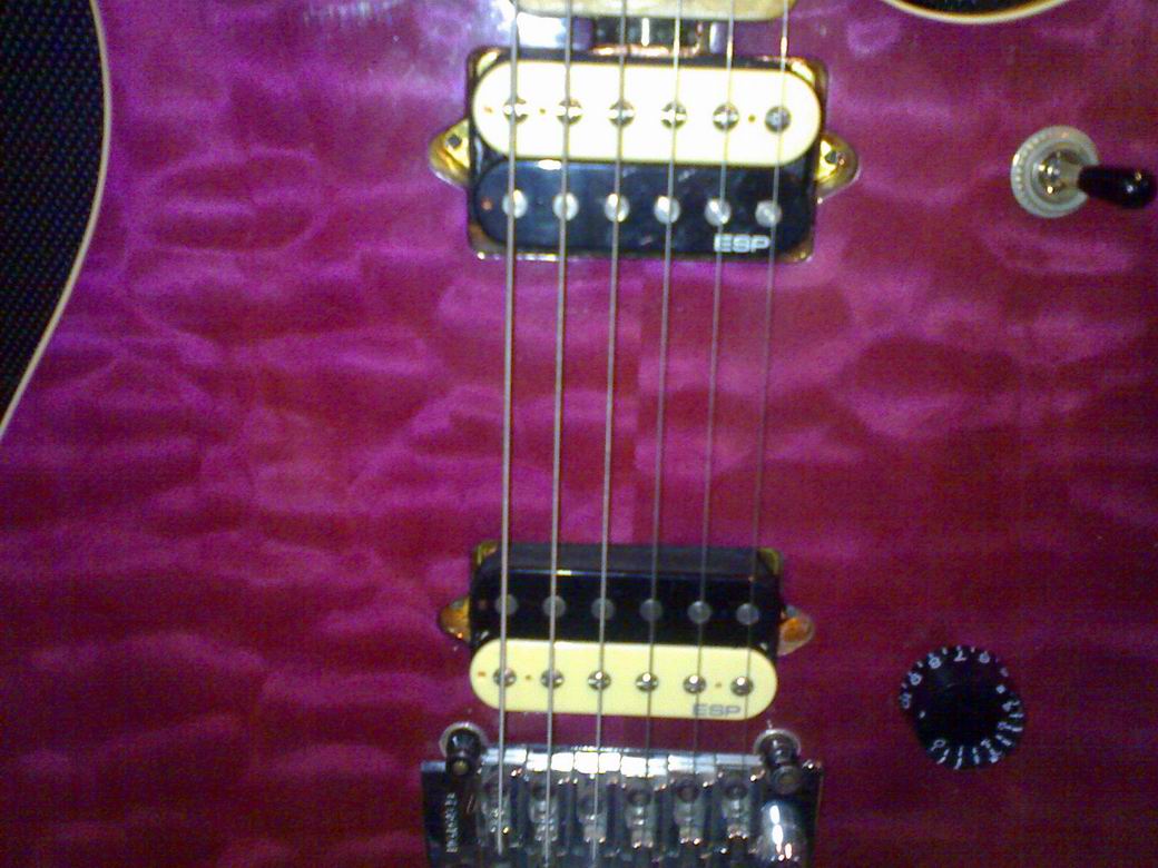 20100201017.jpg