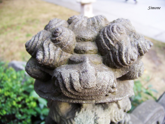 100_4011.jpg