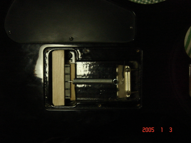 DSC02308.JPG
