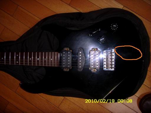 ST832813.JPG