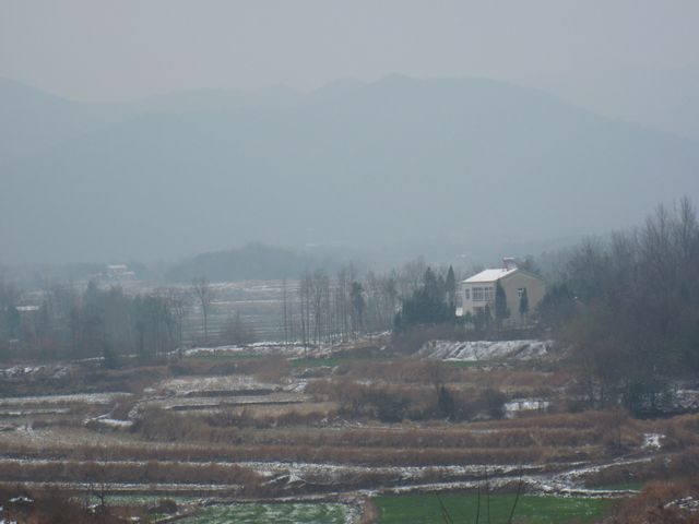 IMG_2740.jpg