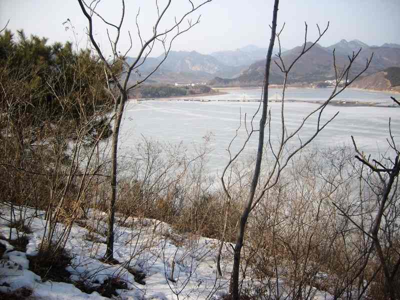 S6304784.jpg