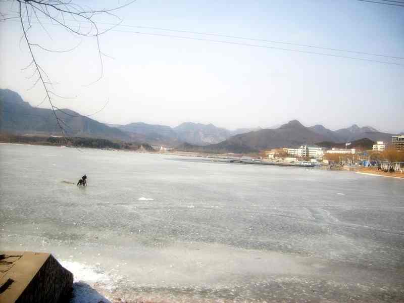S6304759.jpg