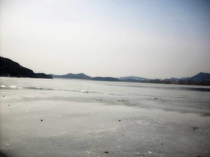 S6304748.jpg