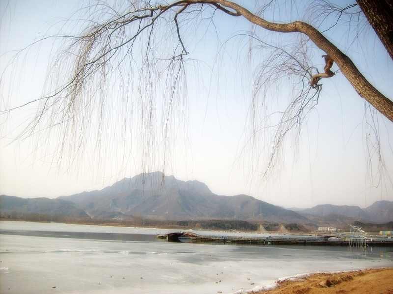 S6304738.jpg