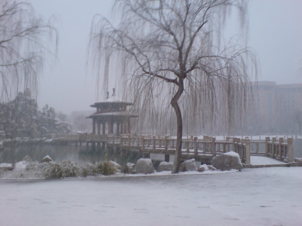 p_large_QBPD_54f100021b842d14.jpg