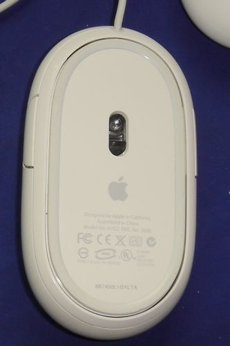 DSC05303.JPG