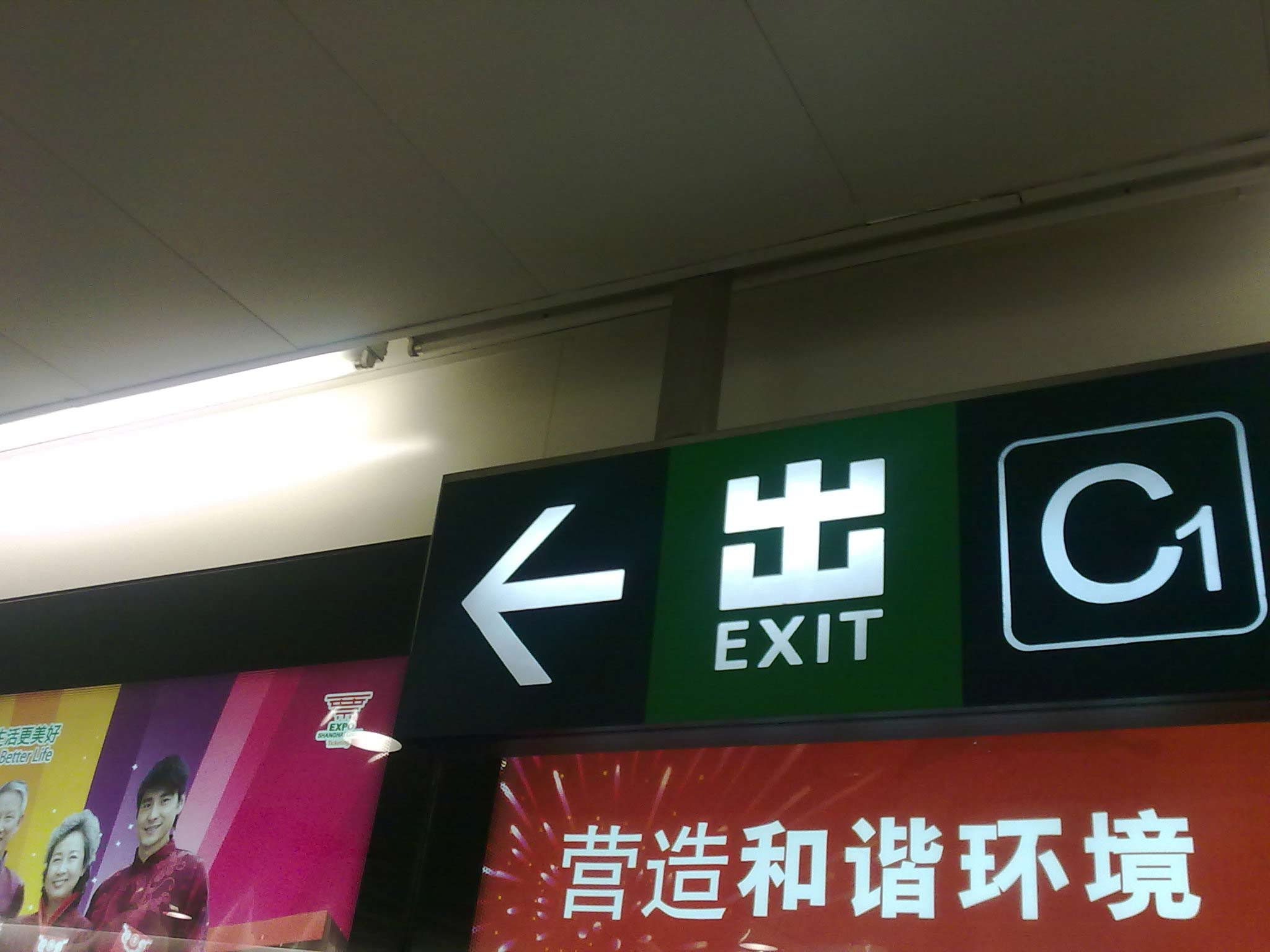 我的未来在哪里.jpg