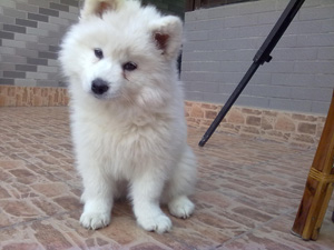 20100308048.jpg