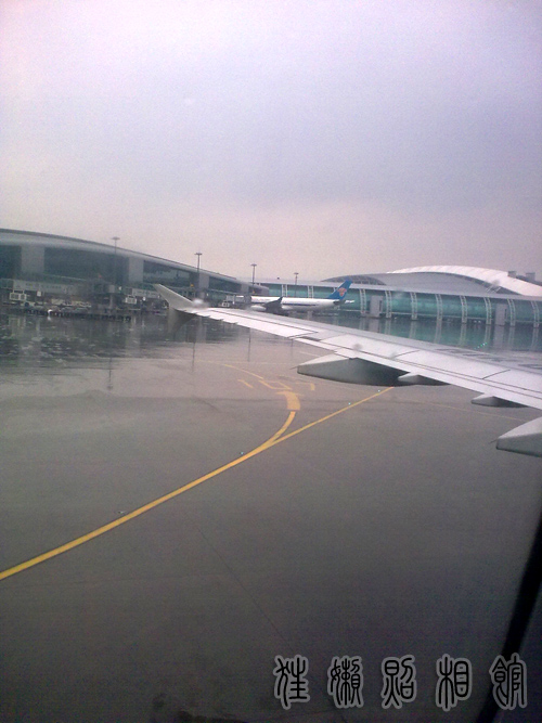 201003061666副本.jpg