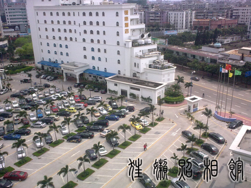201003091723副本.jpg
