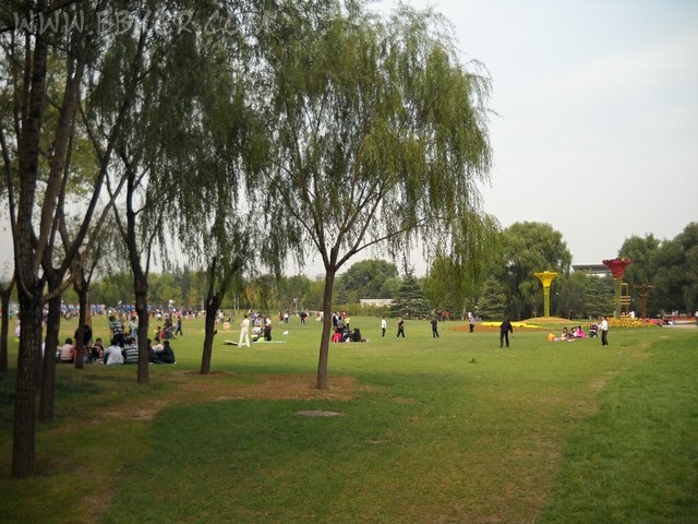 07.jpg