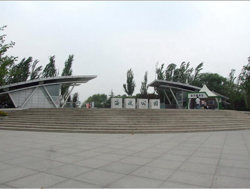 09.jpg