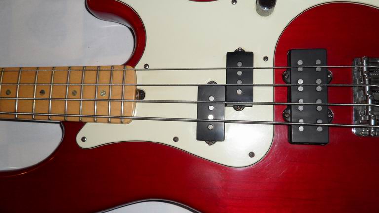 BASS15.jpg