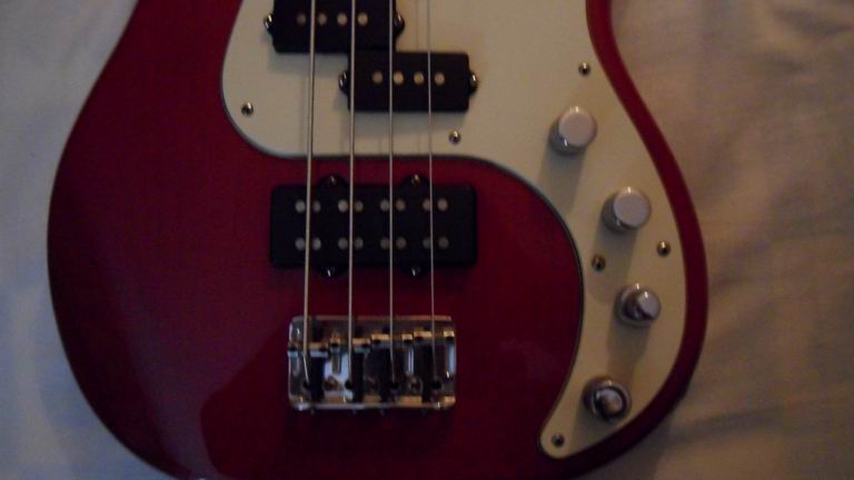 BASS5.jpg