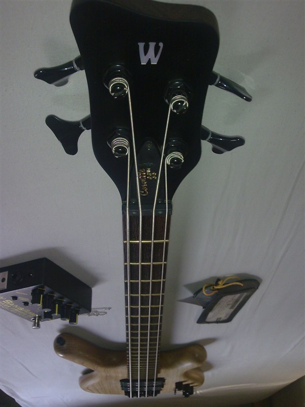 W3.jpg