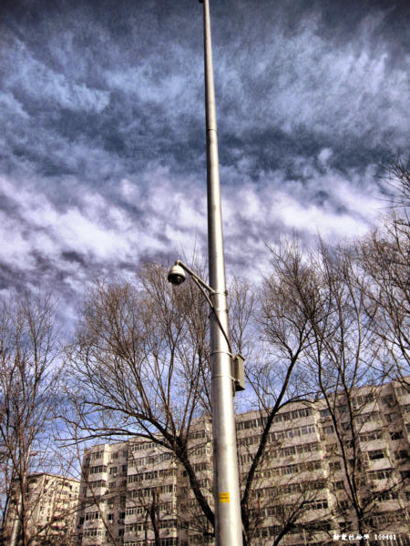 05.jpg