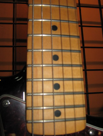 IMG_1235.jpg