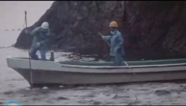 QQ截图未命名2.jpg