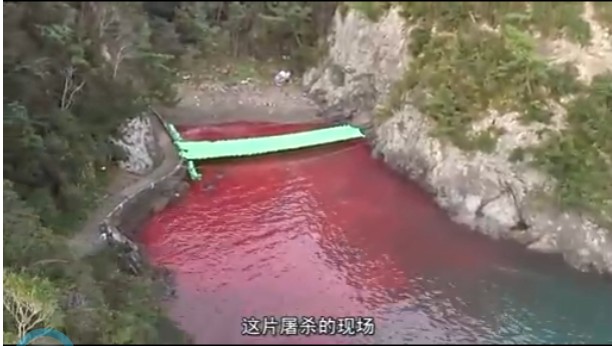 QQ截图未命名11.jpg