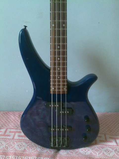 20100405037.JPG