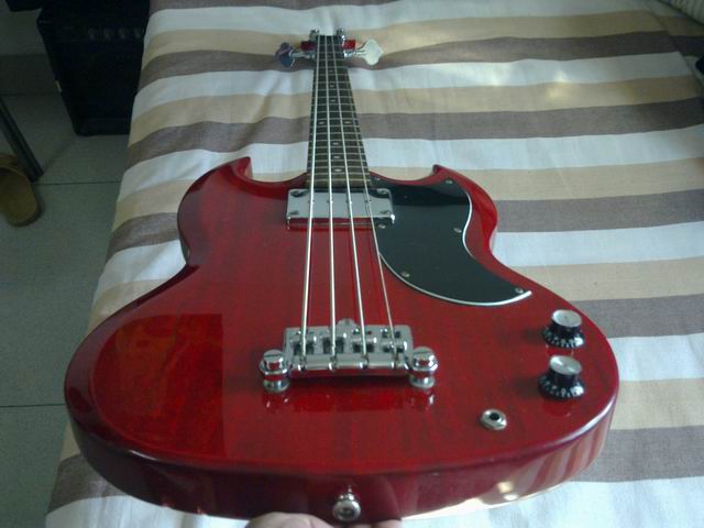 20100406131.jpg