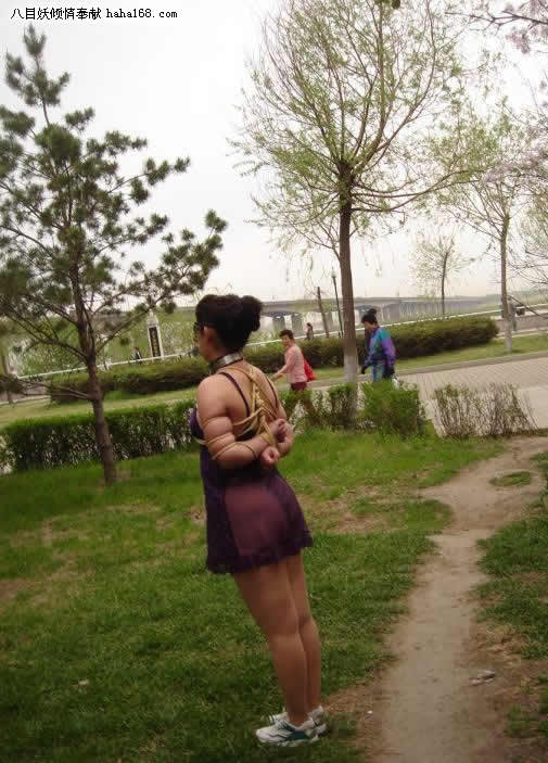 003.jpg