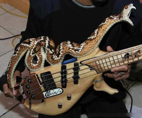 guitar.jpg