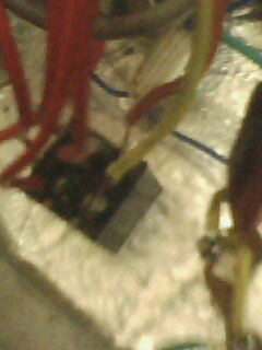 IMG0661A.jpg